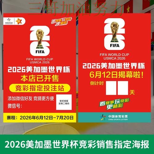 世界杯投注实测对比实录：是否值得用真实情况曝光（World Cup 2026）