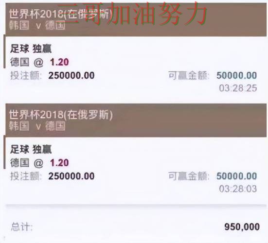 解析世界杯买球平台：从官网直达到直播观看全流程解析 - 2026世界杯